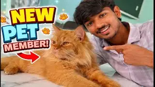 My new family member naw pet 😻❤️🧿.. 