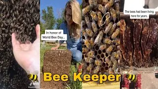 TikTok Bee Keeper 🐝