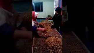 Nganjang tembako
