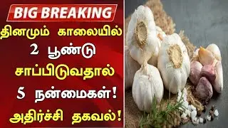 Garlic Health Benefits in Tamil | Nalam 360