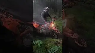 The Sound of a Dying 2-Stroke