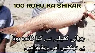Rahu fishing in Pakistan || پاکستان میں رہو مچھلی کیسے پکڑیں