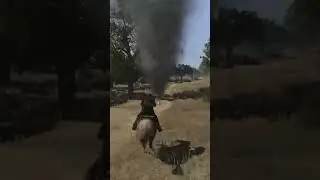 ghode ki race 🐎🐎🐎🐎🐎