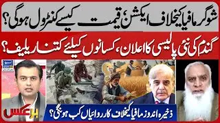 Action Against Sugar Mafia, How Will Prices Control | New Wheat Policy And Farmers | Baraks | EP 426