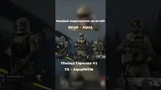 УБИЙЦА ТАРКОВА  #юмор #arenabreakout #shorts
