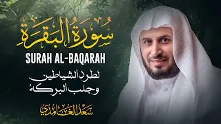 سورة البقرة بصوت الشيخ سعد الغامدي Saad Al Ghamdi - Surat Al Baqarah