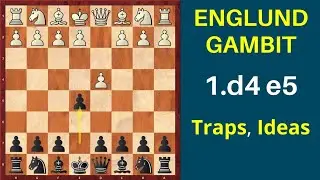 &ldquo;Englund Gambit ULTRA TRAP | 8-Move Checkmate 😱🔥&rdquo; #new #challenge #chesswisdom 