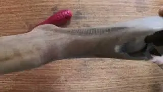 Rifle Restoration Part 3 Woodwork BRNO MOD 2/CZ 452. How to restore a BRNO MOD 2 CZ 452 Rifle Stock