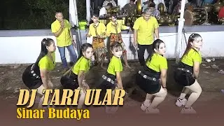 full dj tari ular sinar budaya terbaru di Desa Raab Bantaran Probolinggo