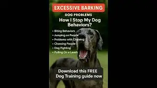 ?how To Stop Great Dane Dog From Excessive Barking - Great Dane Barking Dogs Must Watch!