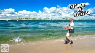 Stripers and Bluefish Early Morning Clear Water Surf Fishing Long Island - Fall Run