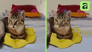 VETTORIALIZZARE una FOTO VELOCEMENTE (ora si pu&ograve; fare in AFFINITY!)