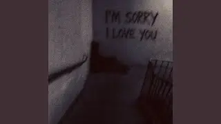 I&rsquo;M SORRY I LOVE YOU