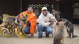 She Has adopted dogs of 8 villages near Delhi😱 | Manavi Rai