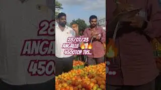 #28/07/23# ANGALLU TOMATO MARKET TODAY TOP RATE..4500 🍅🍅🔥🔥TVS MUNDY..