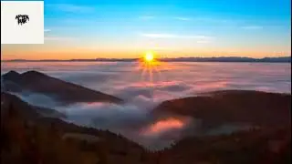 Story of Travis &ndash; Lost in Nature 