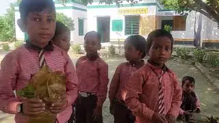 Children's Activity Counting by leaves and to teach pollution free Environment Ps Devapatti