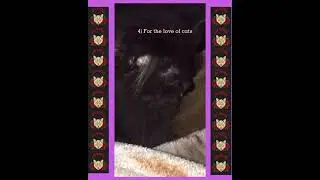 Cat Books on Cat Training & Tips