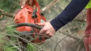 Tree trimming safety