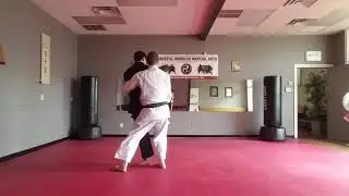 Shorinkan Intermediate Yakusoku Kumite Digest Drill