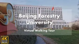 Beijing Forestry University - Virtual Walking Tour [4k 60fps]