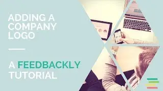 Feedbackly tutorial: How to add a company logo to your organization