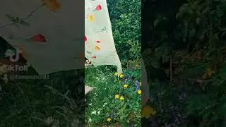 Мой личный флаг Любви и Мира. #мойфлаг #1july #lifestyle #uk #светланаахалая #nature #manchester
