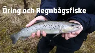 KFT- Öring och regnbågsfiske