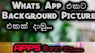 Whats App එකට Background Picture එකක් දාමු....      APPS ඕනෙනෑ...  SL PRO UNIT