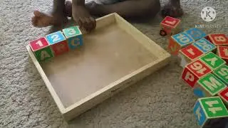 Toy Review Mellisa and dough ABC 123 wooden blocks