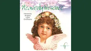 On An Angel's Wing