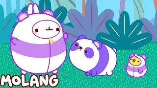 Itu Panda | Kartun Lucu Anak Anak | Molang Bahasa