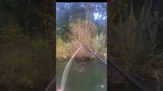 Couple on the indicator rig