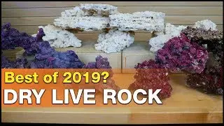How to choose the BEST dry live rock for your reef tank? Here's how we did it!
