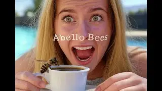bee tracking abello bees bee removal