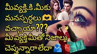 మీవ్యక్తికి మీకు మనస్పర్ధలు🫶వచ్చాయా?మీవ్యక్తి మీతో నిజాలు చెప్తున్నారా లేదా#tarot#6300511306#vairal 