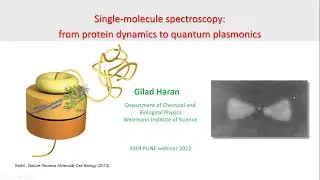 Single-molecule spectroscopy: from protein dynamics to quantum plasmonics by Prof. Gilad Haran