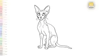 Sphynx cat easy drawing | Art tutorial | How to draw A Sphynx cat step by step easily | #artjanag