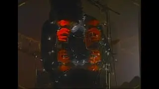Prized Pig | Full Performance