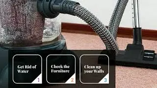 7 Steps to Prevent Carpet Mould After Water Damage