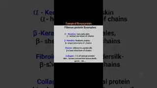 @Example of fibrous protein *shortvedios in nursing and medical #🩺🩺