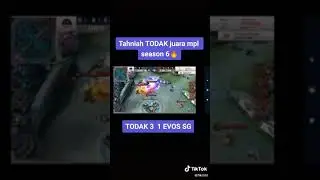 EVOS vs todak