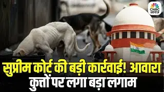 Supreme Court strict order on Dogs: सुप्रीम कोर्ट की बड़ी कार्रवाई! आवारा कुत्तों पर लगा बड़ा लगाम