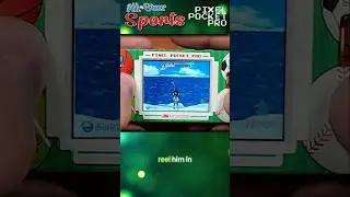 FISHING - One of 18 Games on the All-Star Sports Pixel Pocket Pro