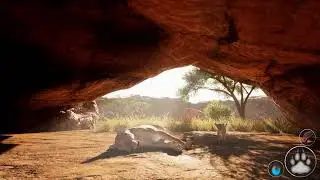 Primal Earth - Long day for momma! Baby lion cub!!!