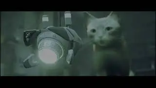 I am Speed (trophy) &ndash; Stray (PS5)