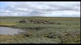 Geografia Argentina- Pampa Ondulada y Deprimida