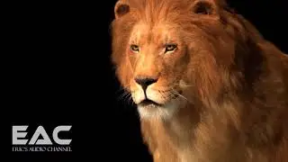 Epic Orchestra Music | 