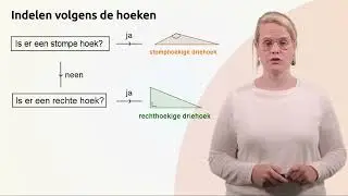 Indeling van driehoeken - Lernova wiskunde