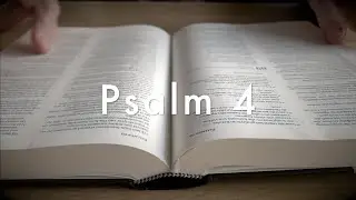 Overdenking Psalm 4 'Rust vinden bij God'